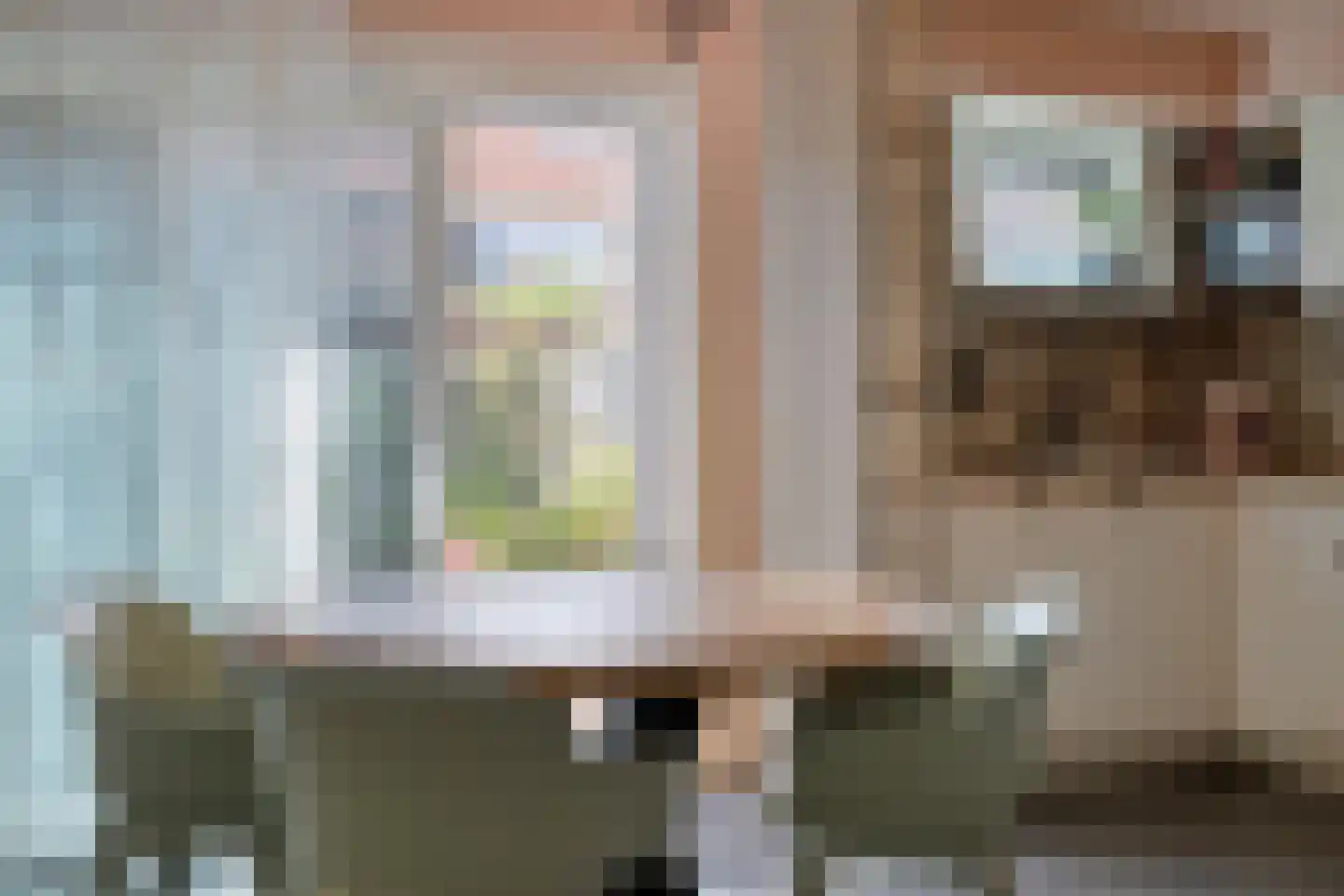 Rijnstraat 18 Emmeloord thumbnail 20