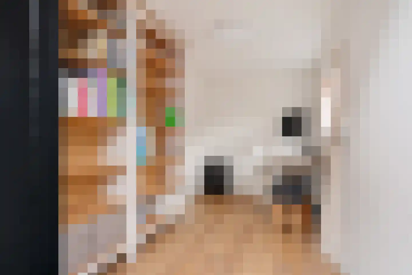 Rijnstraat 18 Emmeloord thumbnail 20