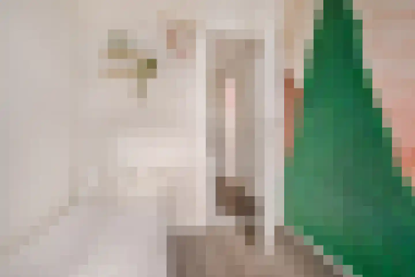 Rijnstraat 18 Emmeloord thumbnail 24