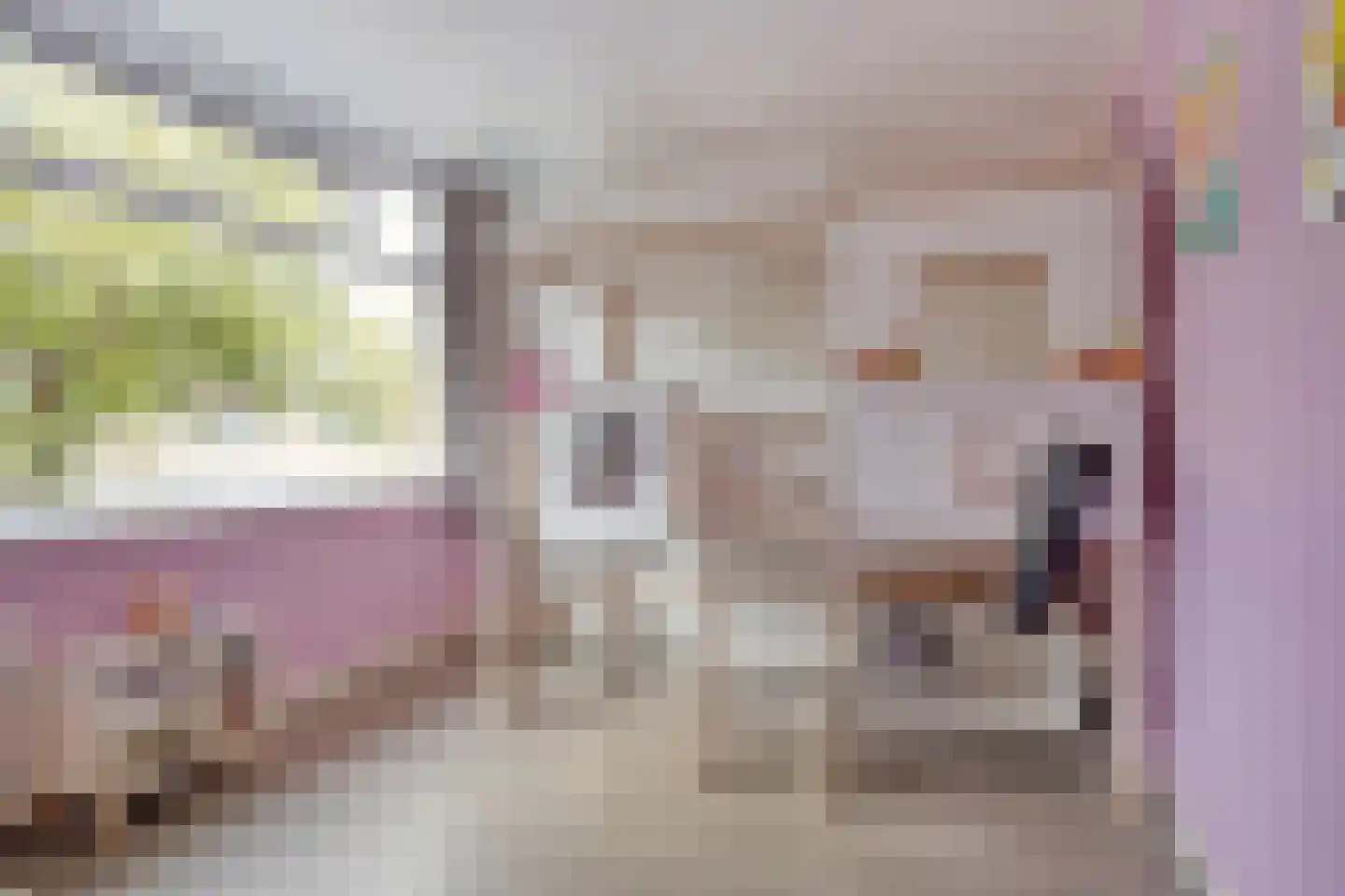 Rijnstraat 18 Emmeloord thumbnail 29