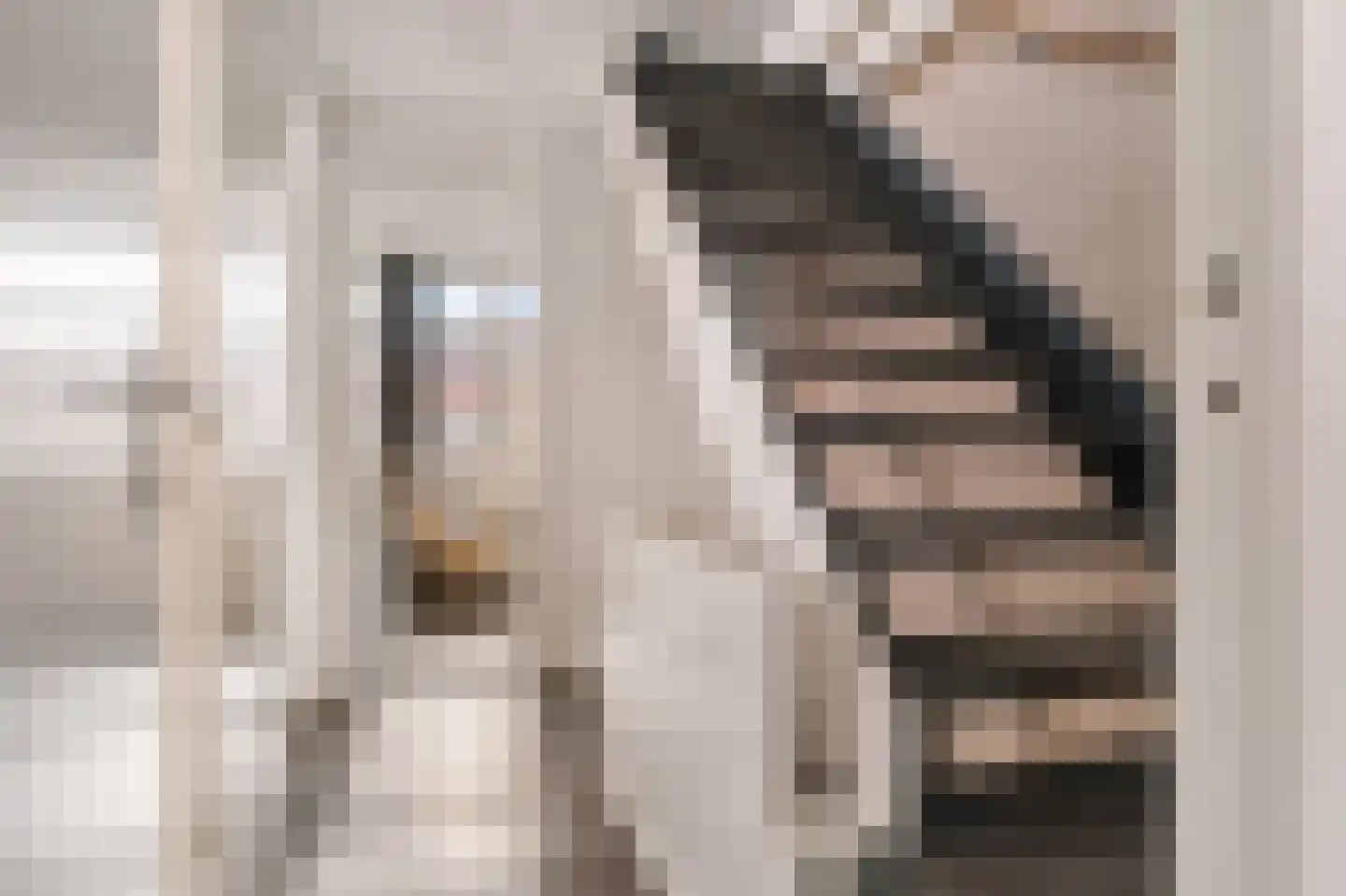 Rijnstraat 18 Emmeloord thumbnail 33