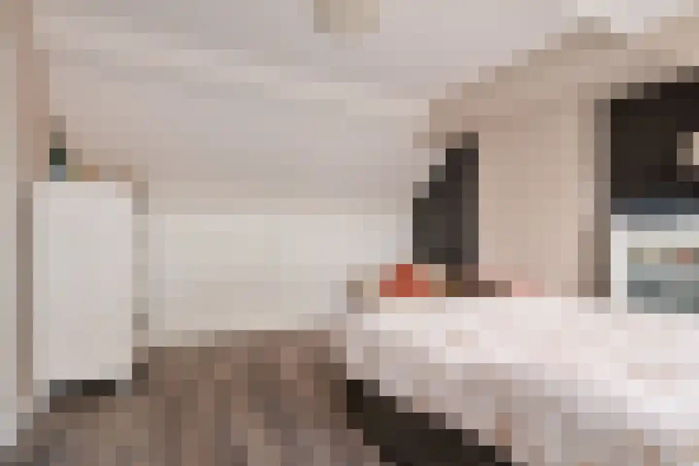 Rijnstraat 18 Emmeloord thumbnail 38