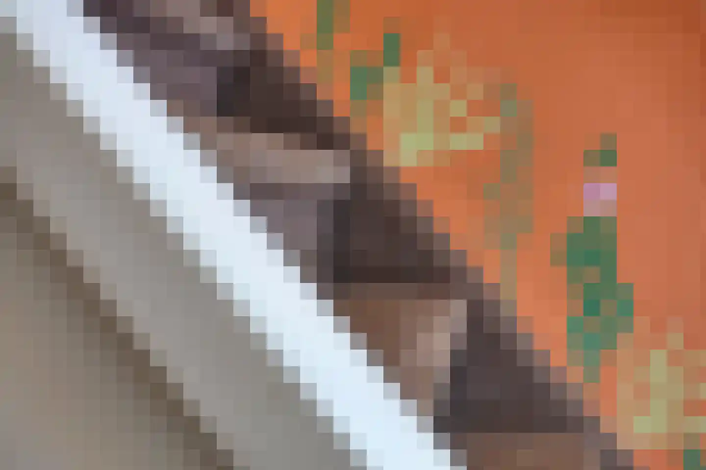 Rijnstraat 18 Emmeloord thumbnail 7