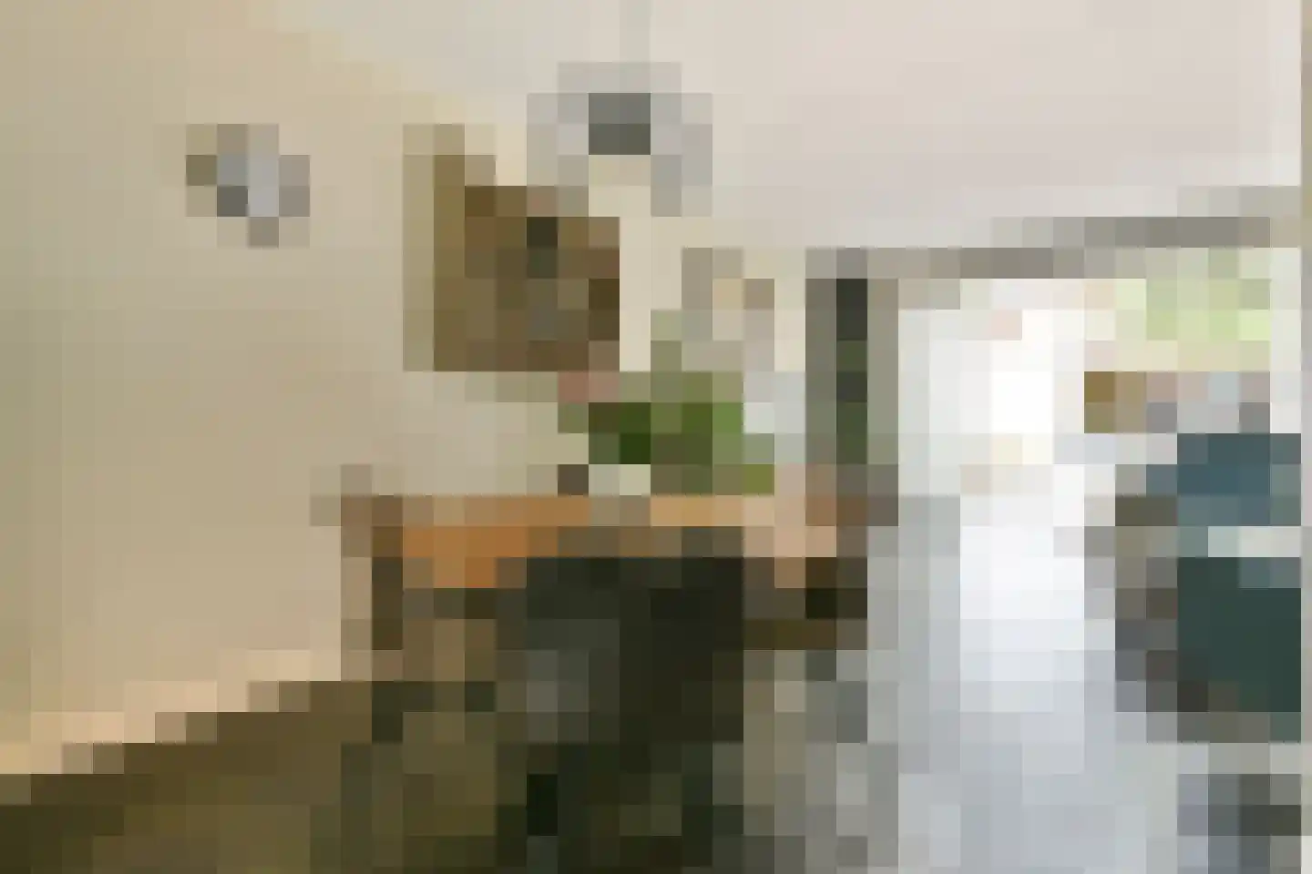 Rijnstraat 18 Schiedam thumbnail 7