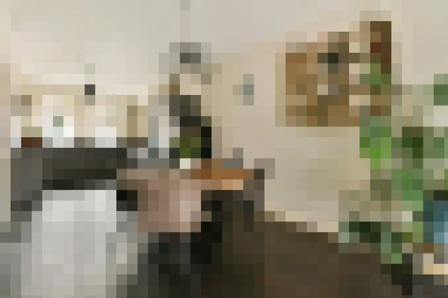 Rijnstraat 18 Schiedam thumbnail 8