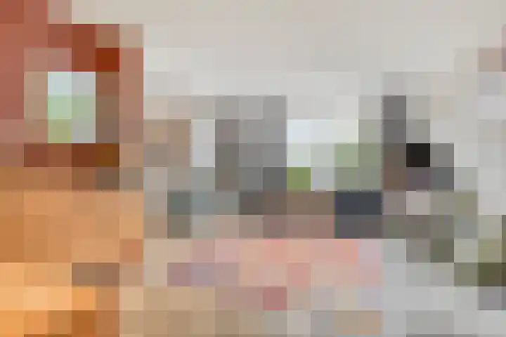 Rijnstraat 19 Alkmaar thumbnail 7