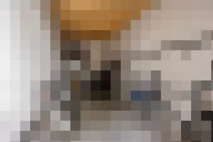 Rijnstraat 2 18 Eindhoven thumbnail 31
