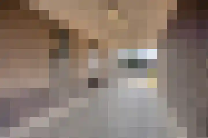 Rijnstraat 2 18 Eindhoven thumbnail 5