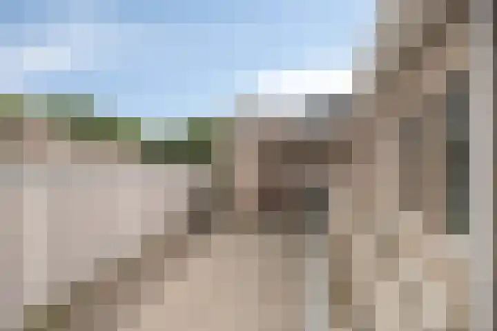 Rijnstraat 2 26 Eindhoven thumbnail 10