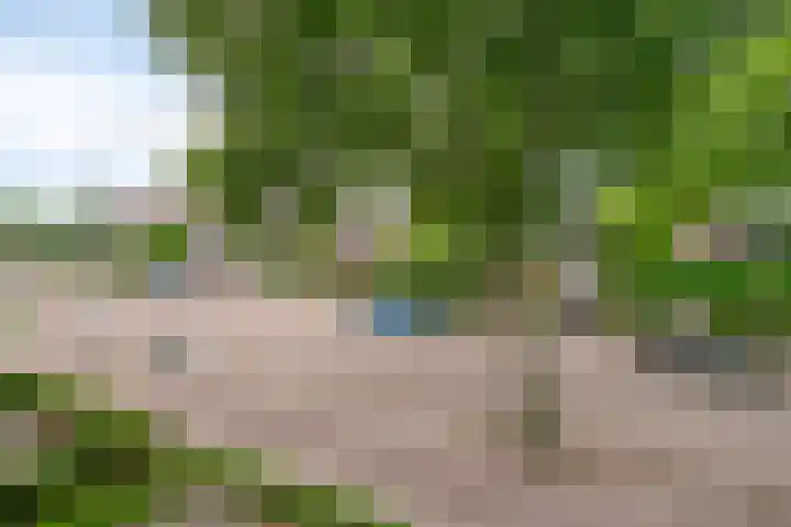 Rijnstraat 2 26 Eindhoven thumbnail 36