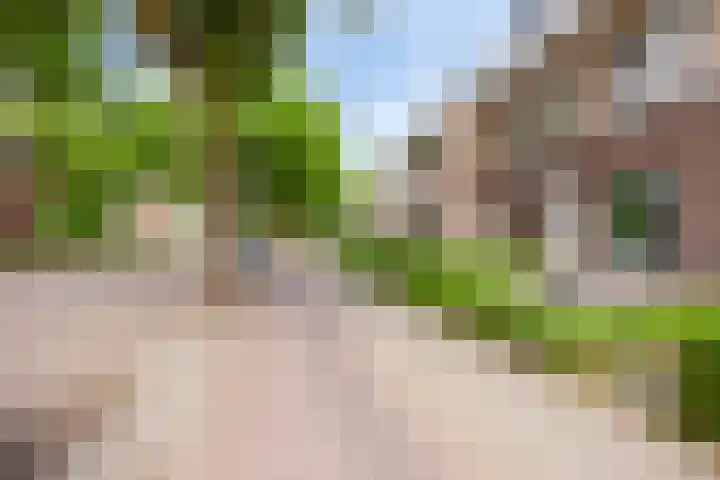 Rijnstraat 2 40 Eindhoven thumbnail 4