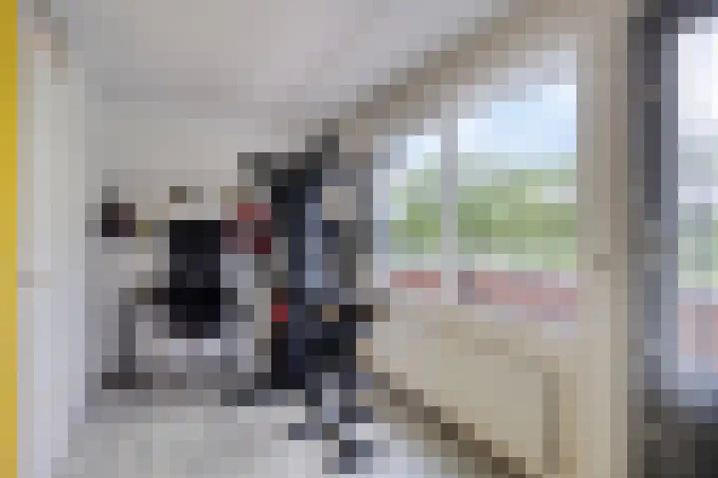 Rijnstraat 2 B Apeldoorn thumbnail 31