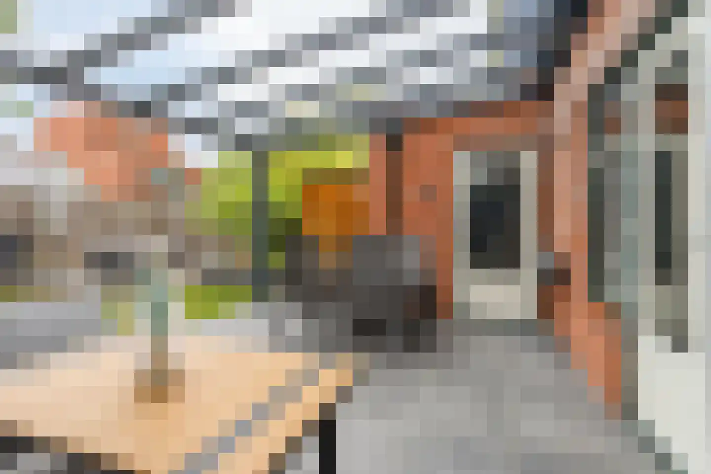 Rijnstraat 2 B Apeldoorn thumbnail 38