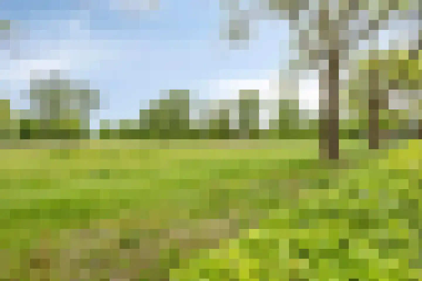 Rijnstraat 2 B Apeldoorn thumbnail 56