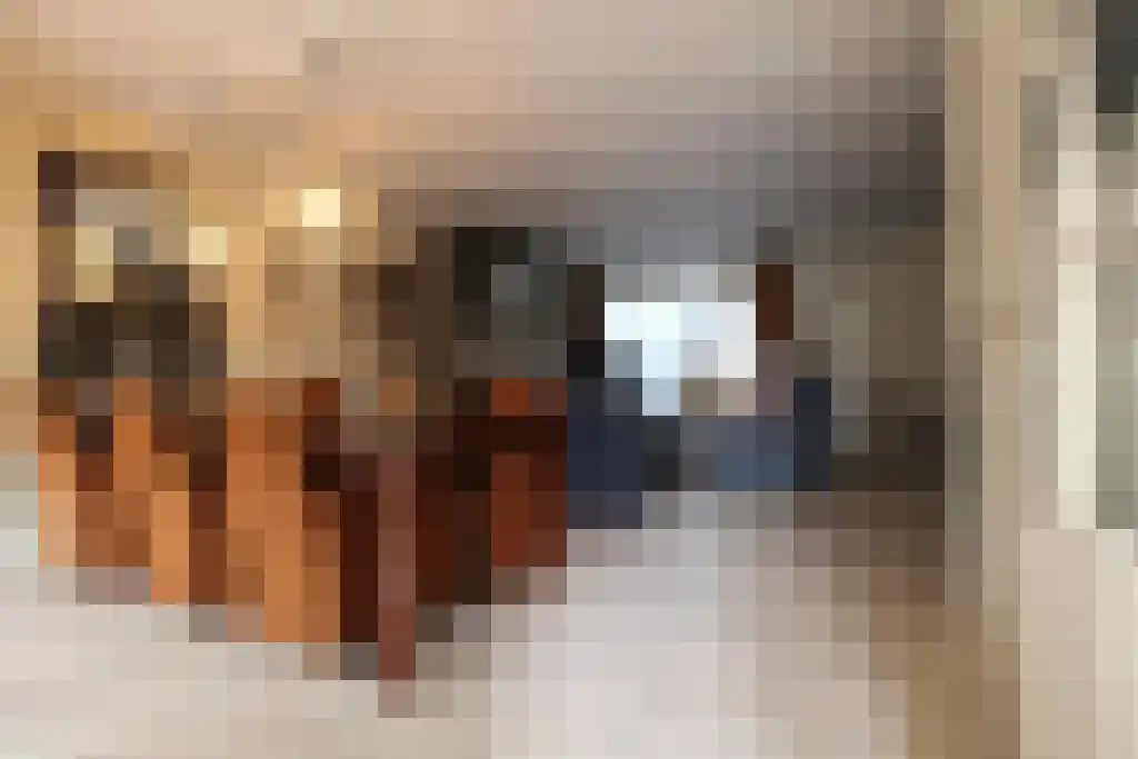 Rijnstraat 2 Eindhoven thumbnail 4