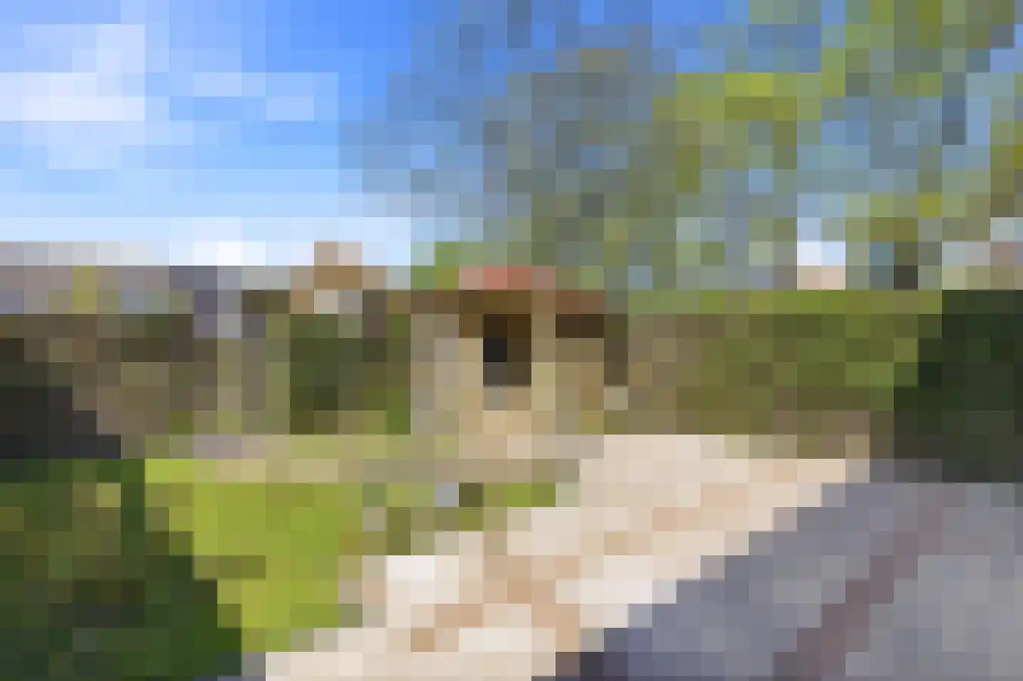 Rijnstraat 2 Oost-Souburg thumbnail 18