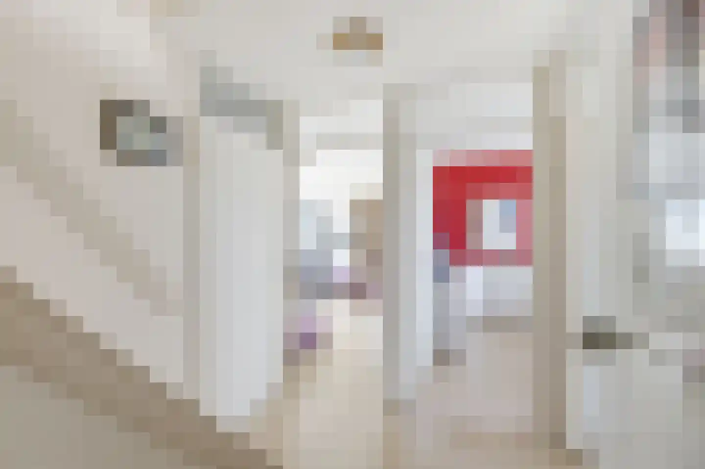 Rijnstraat 2 Oost-Souburg thumbnail 24