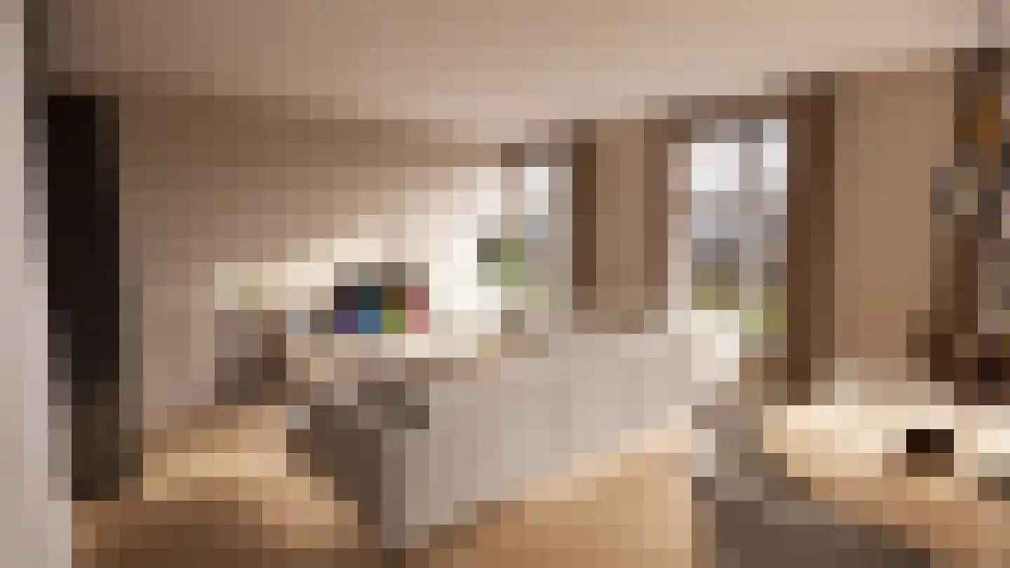 Rijnstraat 20 C Tolkamer thumbnail 10