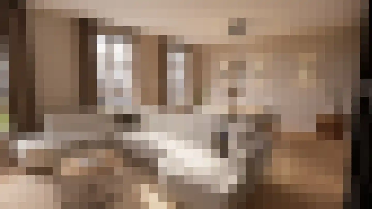 Rijnstraat 20 C Tolkamer thumbnail 5