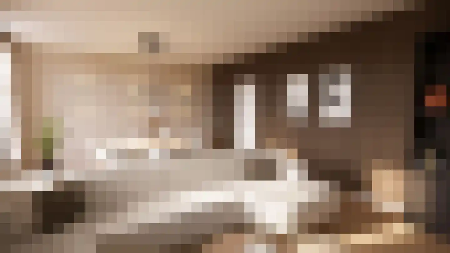 Rijnstraat 20 C Tolkamer thumbnail 9