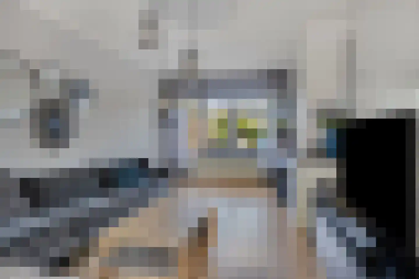 Rijnstraat 20 Dongen thumbnail 11