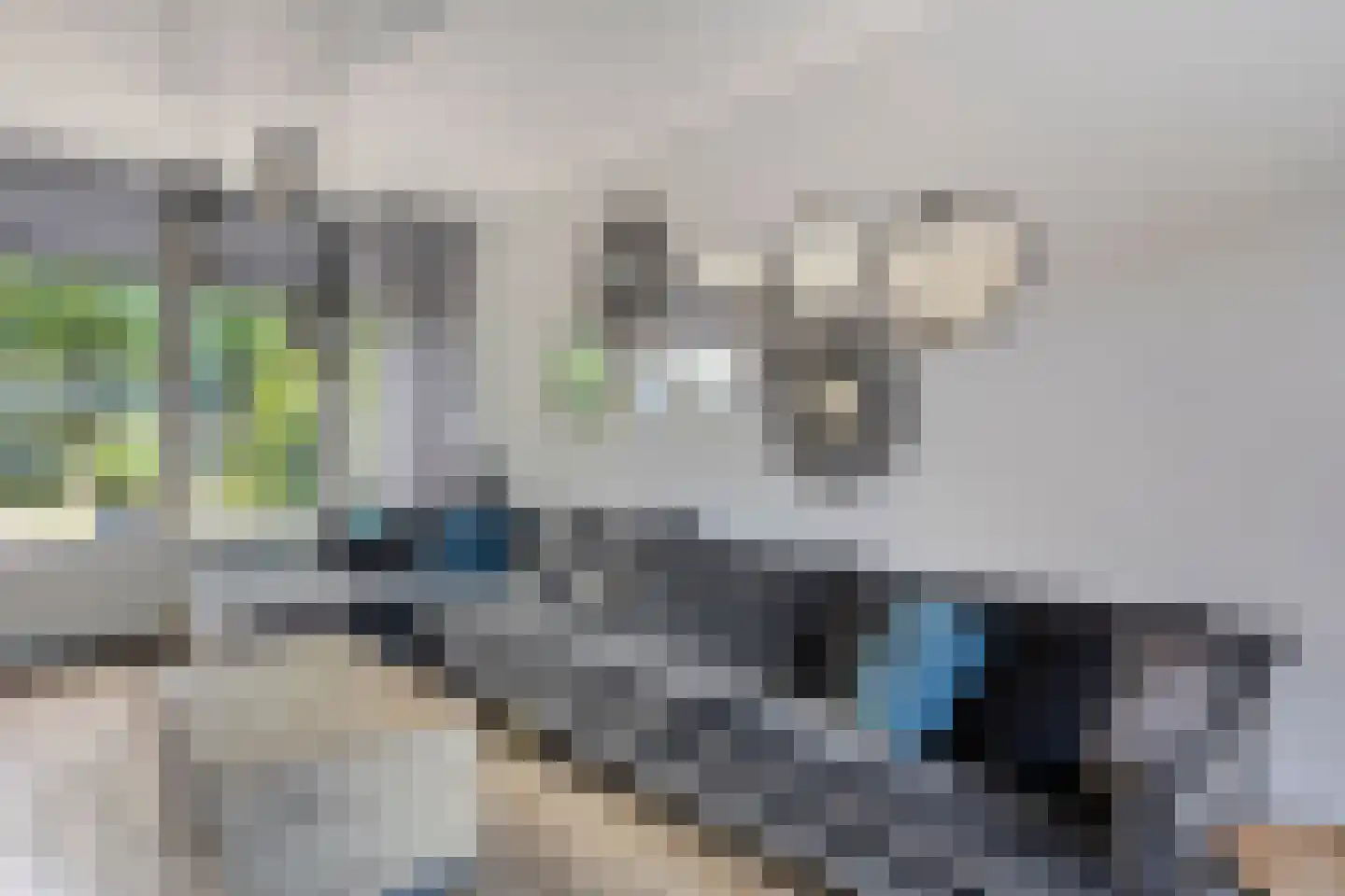 Rijnstraat 20 Dongen thumbnail 13