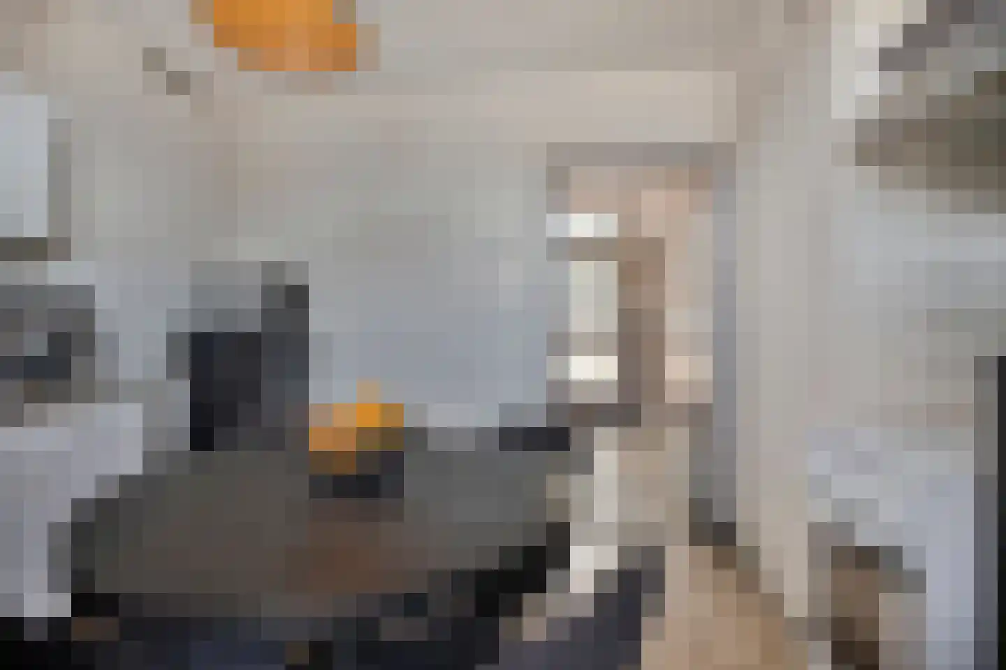 Rijnstraat 20 Dongen thumbnail 16