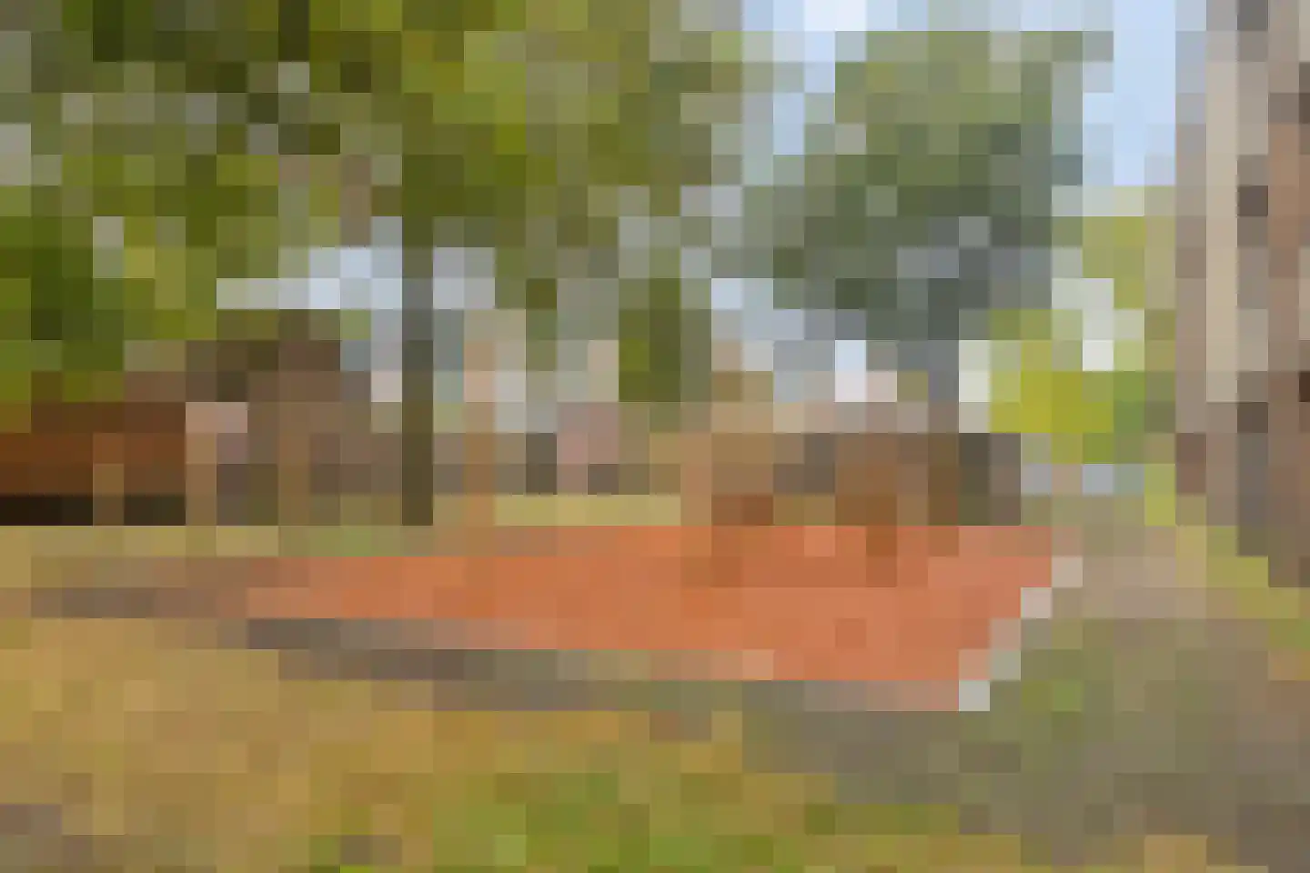 Rijnstraat 20 Dongen thumbnail 30