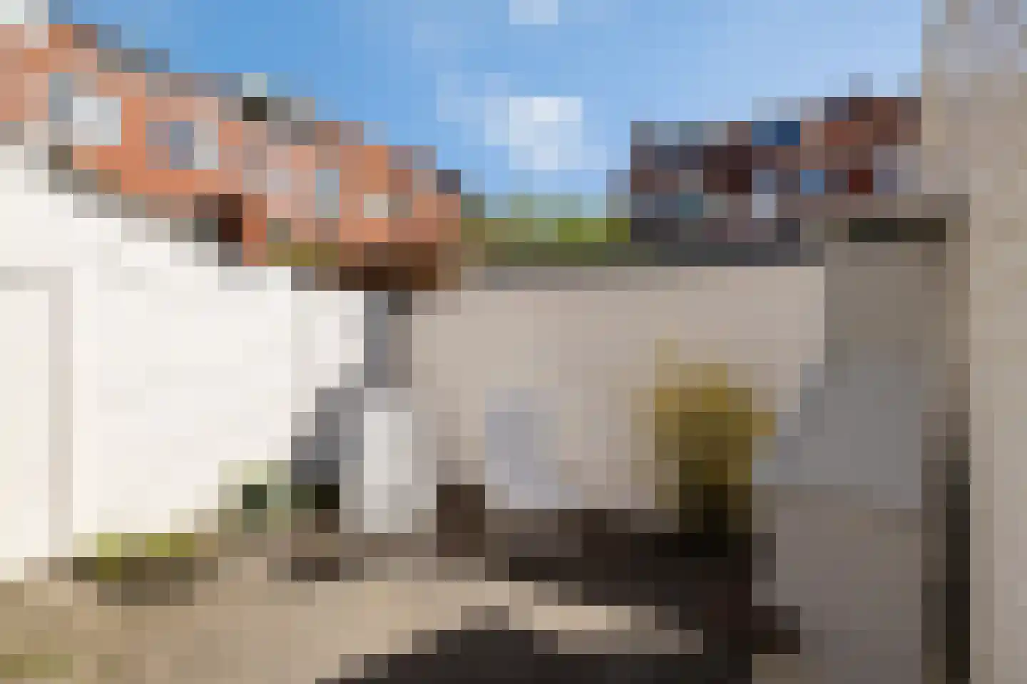 Rijnstraat 20 Groningen thumbnail 21