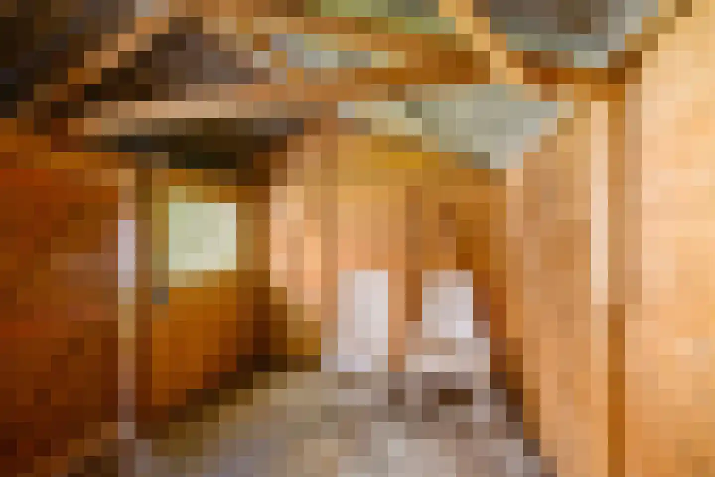 Rijnstraat 20 Groningen thumbnail 23