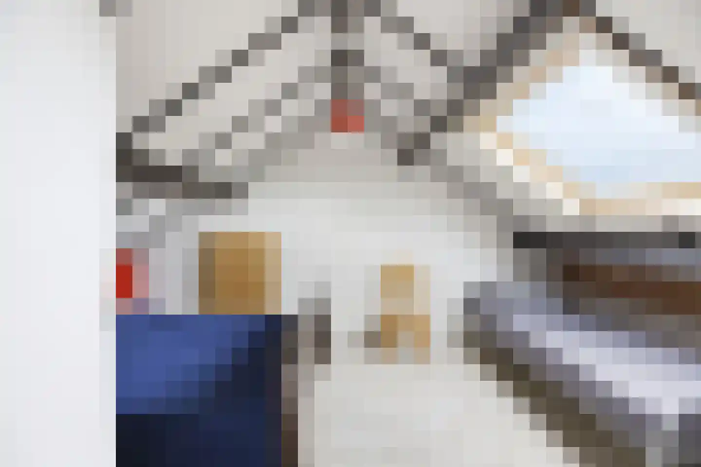 Rijnstraat 20 Oost-Souburg thumbnail 30