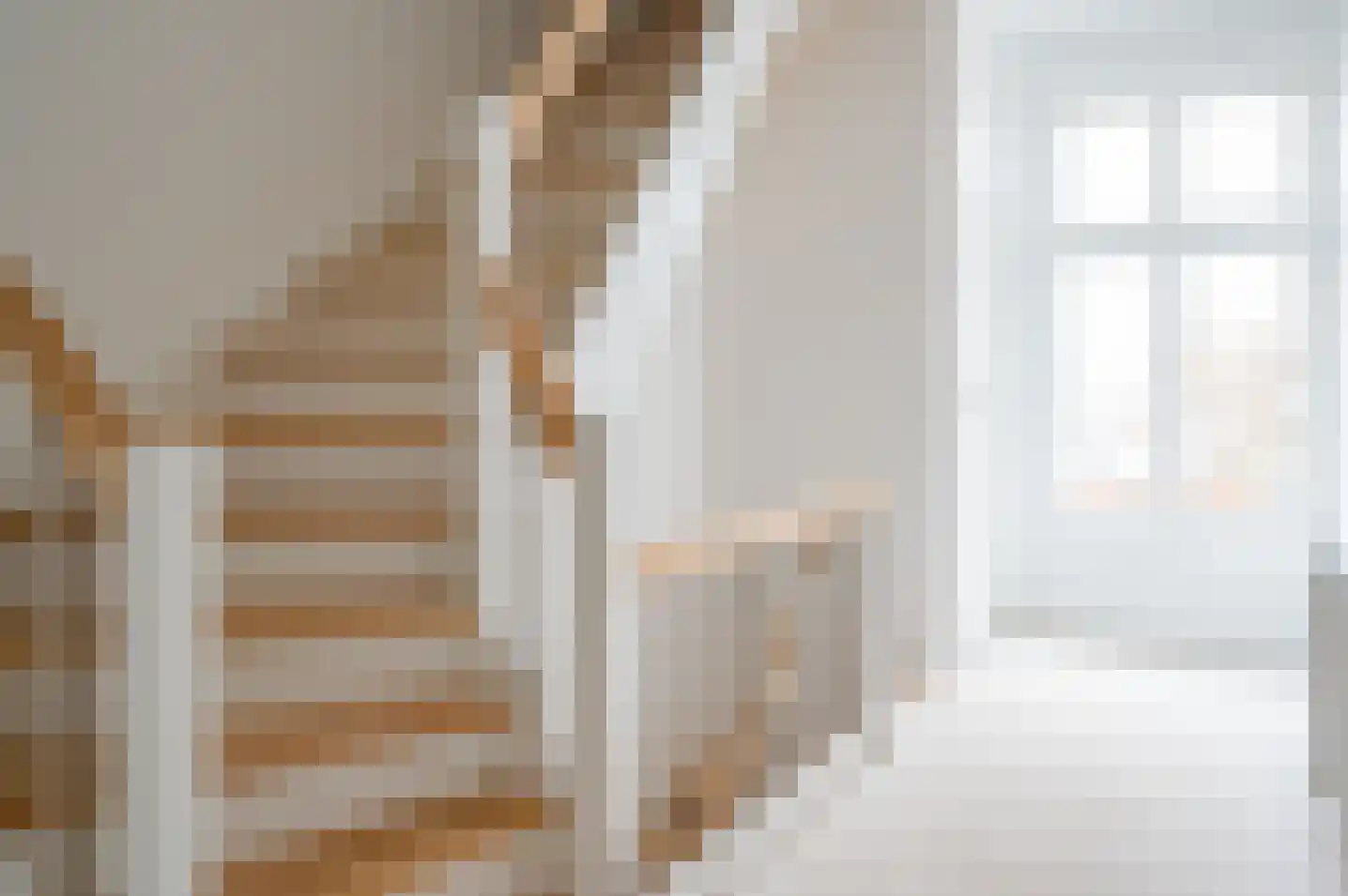 Rijnstraat 20 Tolkamer thumbnail 10