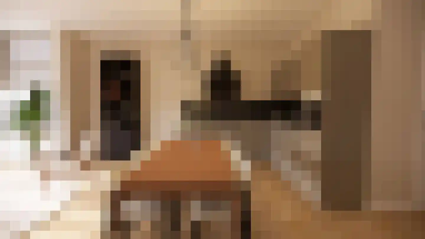 Rijnstraat 20 Tolkamer thumbnail 12