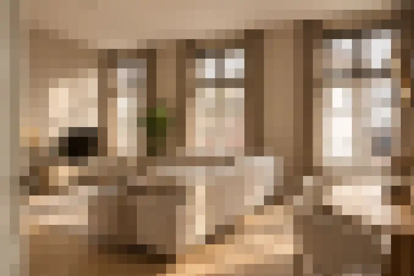 Rijnstraat 20 Tolkamer thumbnail 13