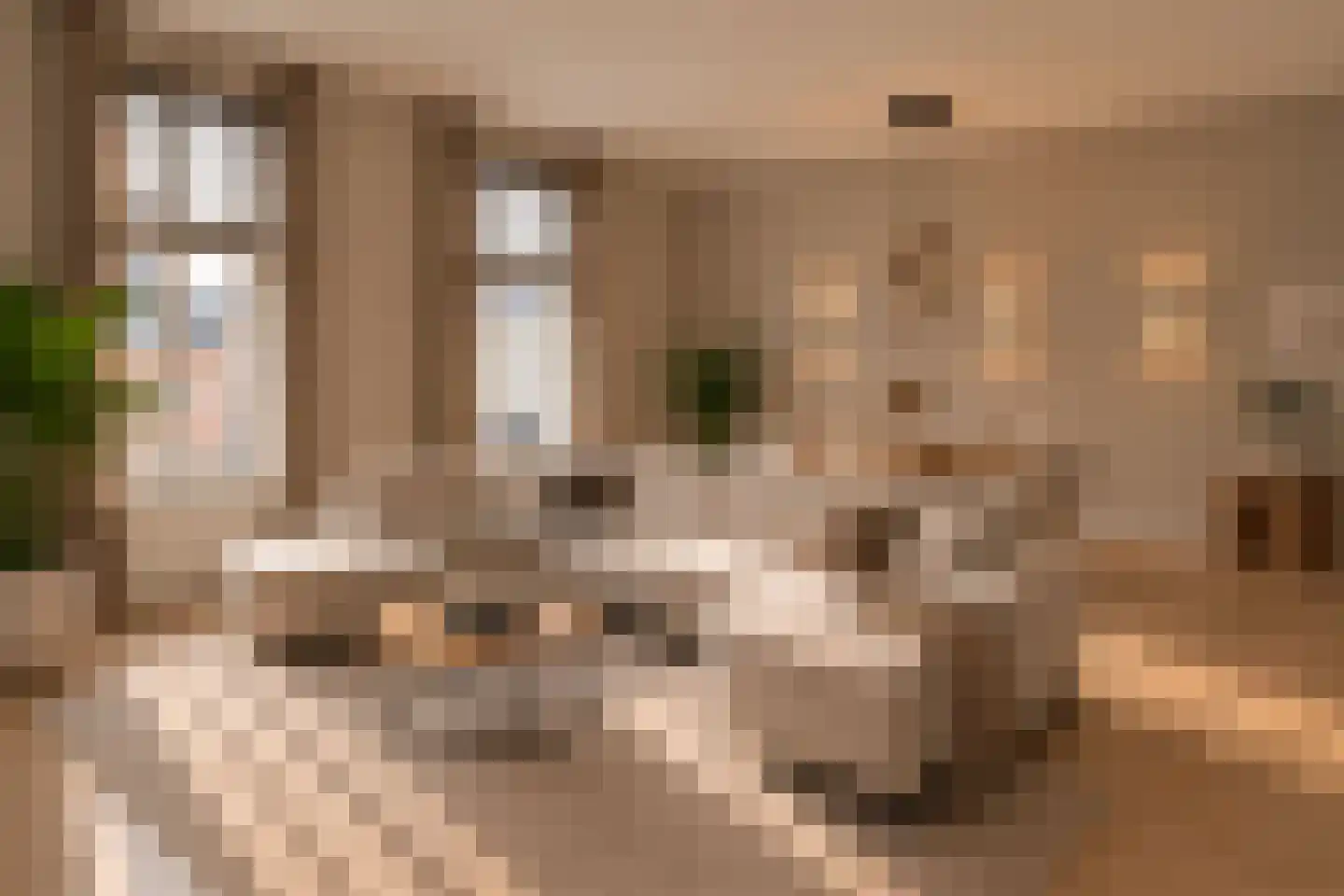 Rijnstraat 20 Tolkamer thumbnail 15