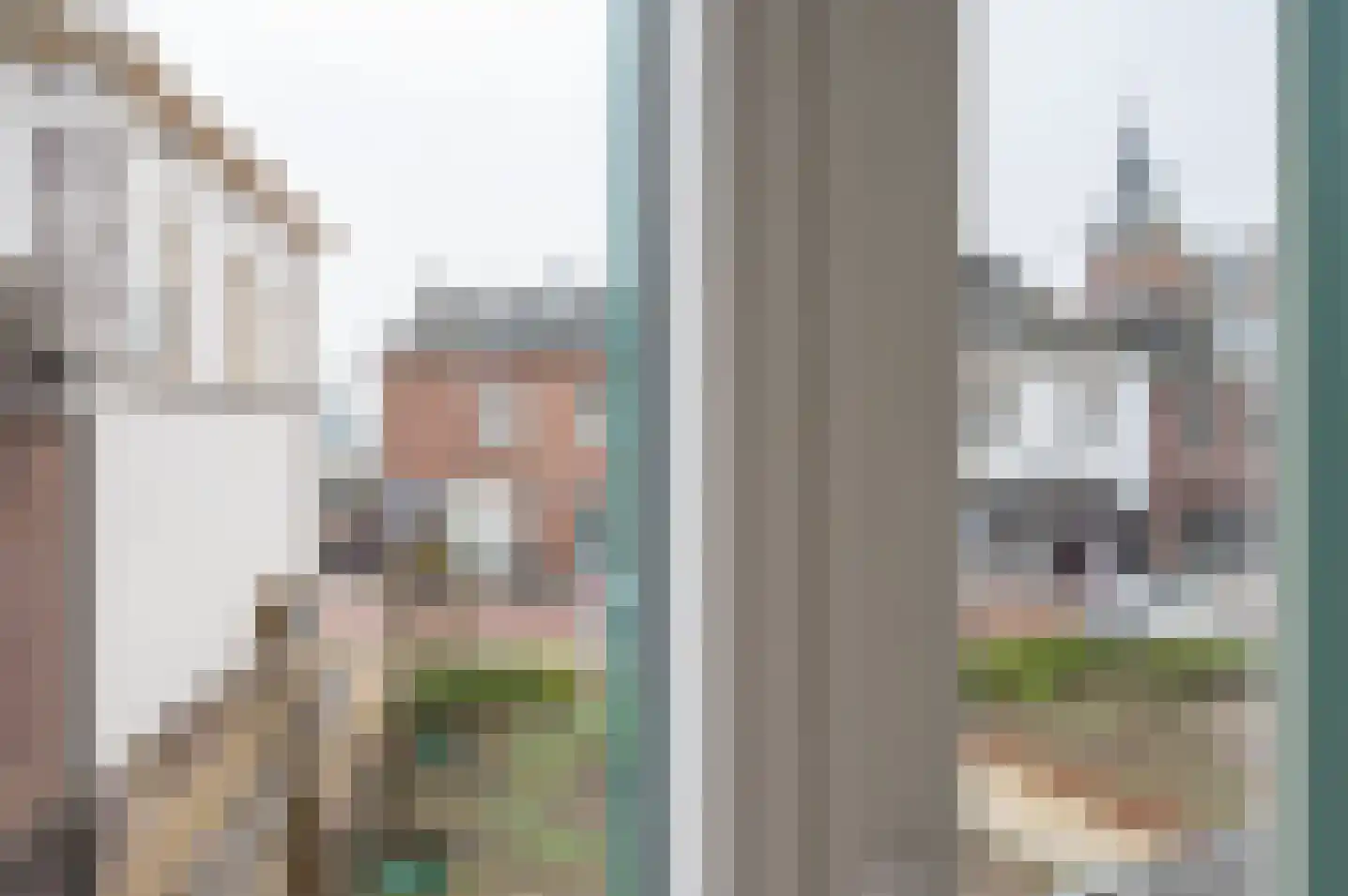 Rijnstraat 20 Tolkamer thumbnail 16