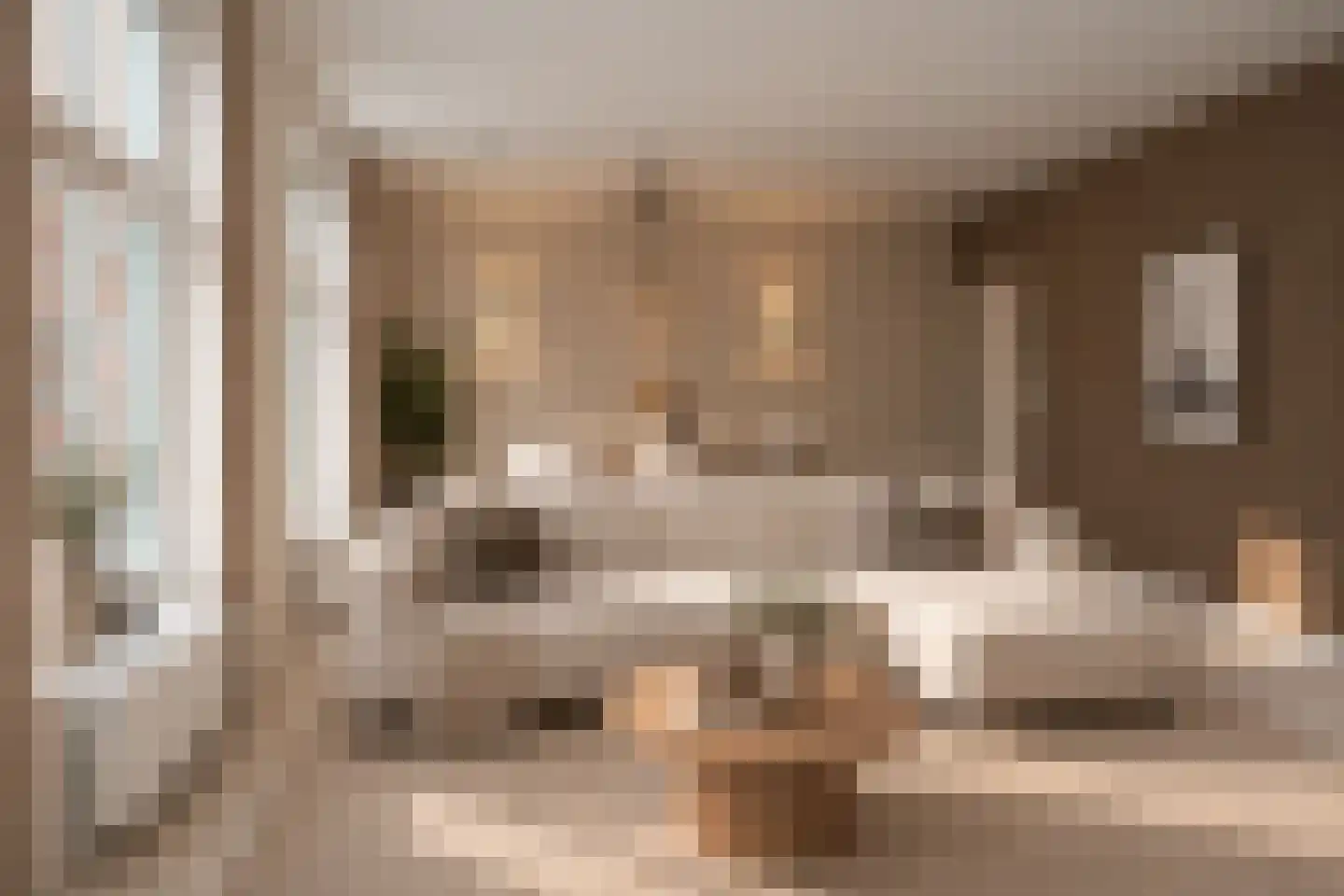 Rijnstraat 20 Tolkamer thumbnail 18