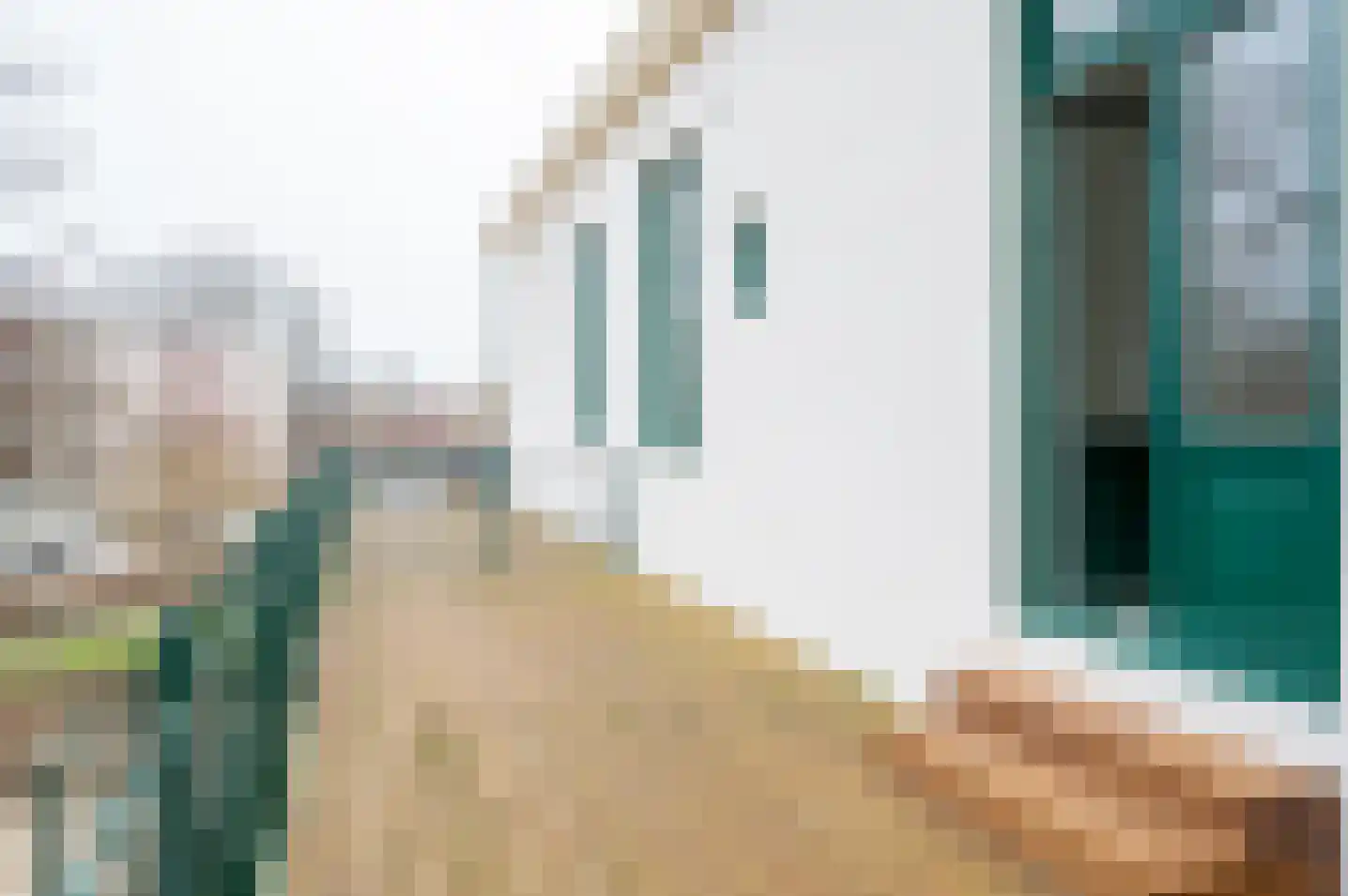 Rijnstraat 20 Tolkamer thumbnail 21