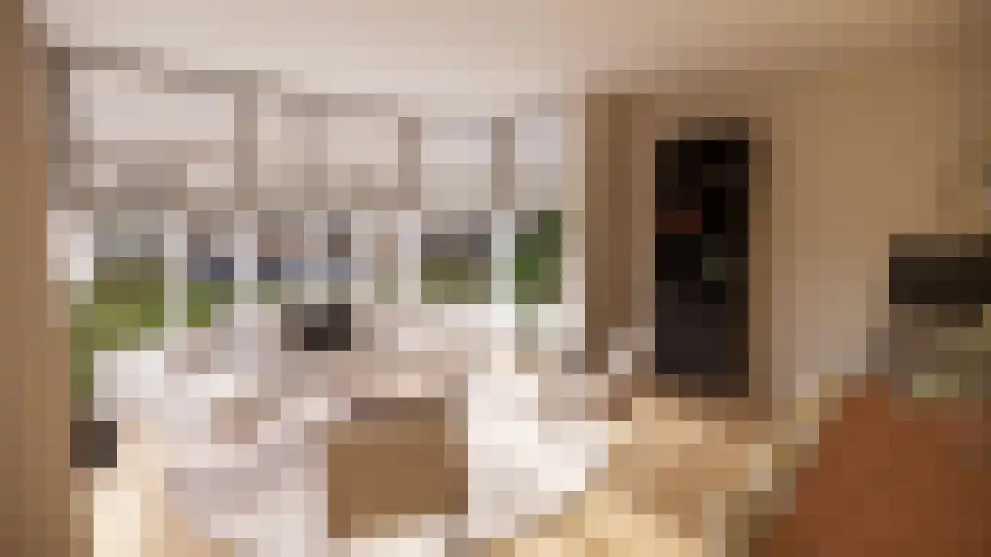 Rijnstraat 20 Tolkamer thumbnail 6