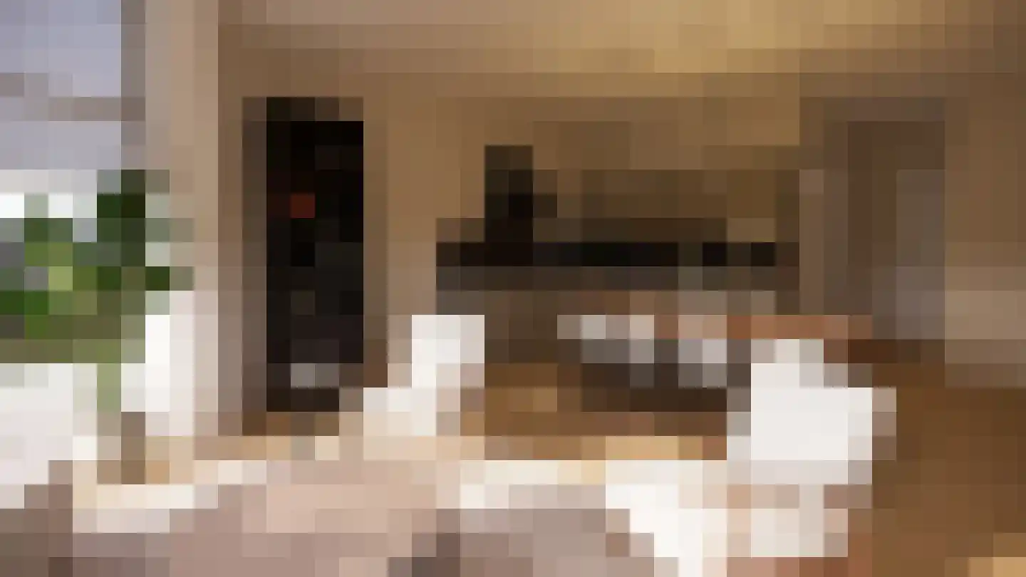 Rijnstraat 20 Tolkamer thumbnail 9