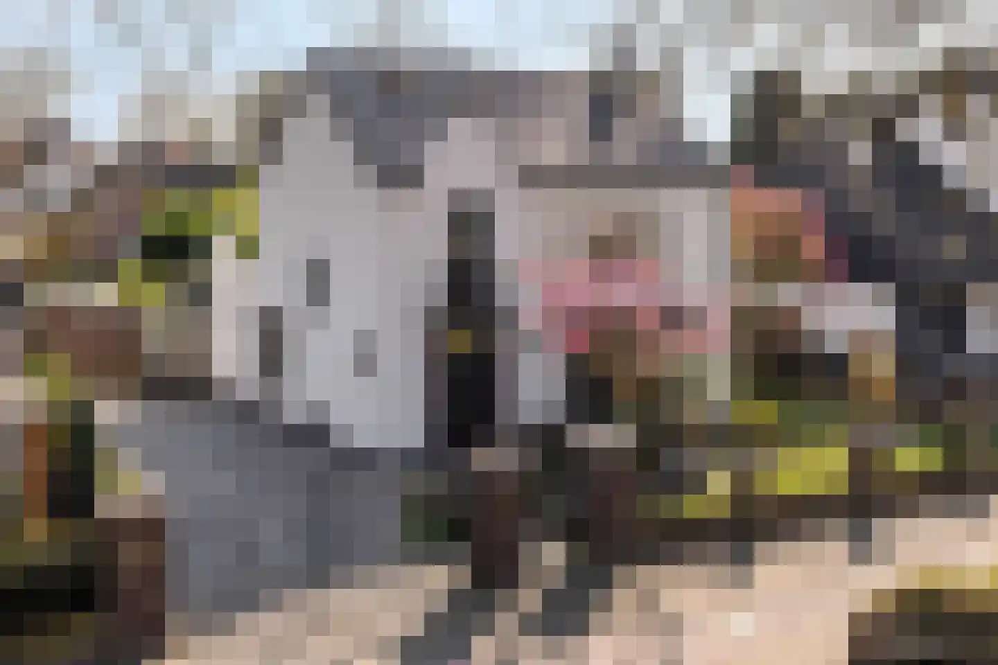 Rijnstraat 21 in Eindhoven