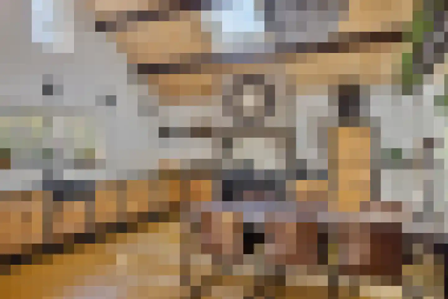 Rijnstraat 21 Eindhoven thumbnail 17