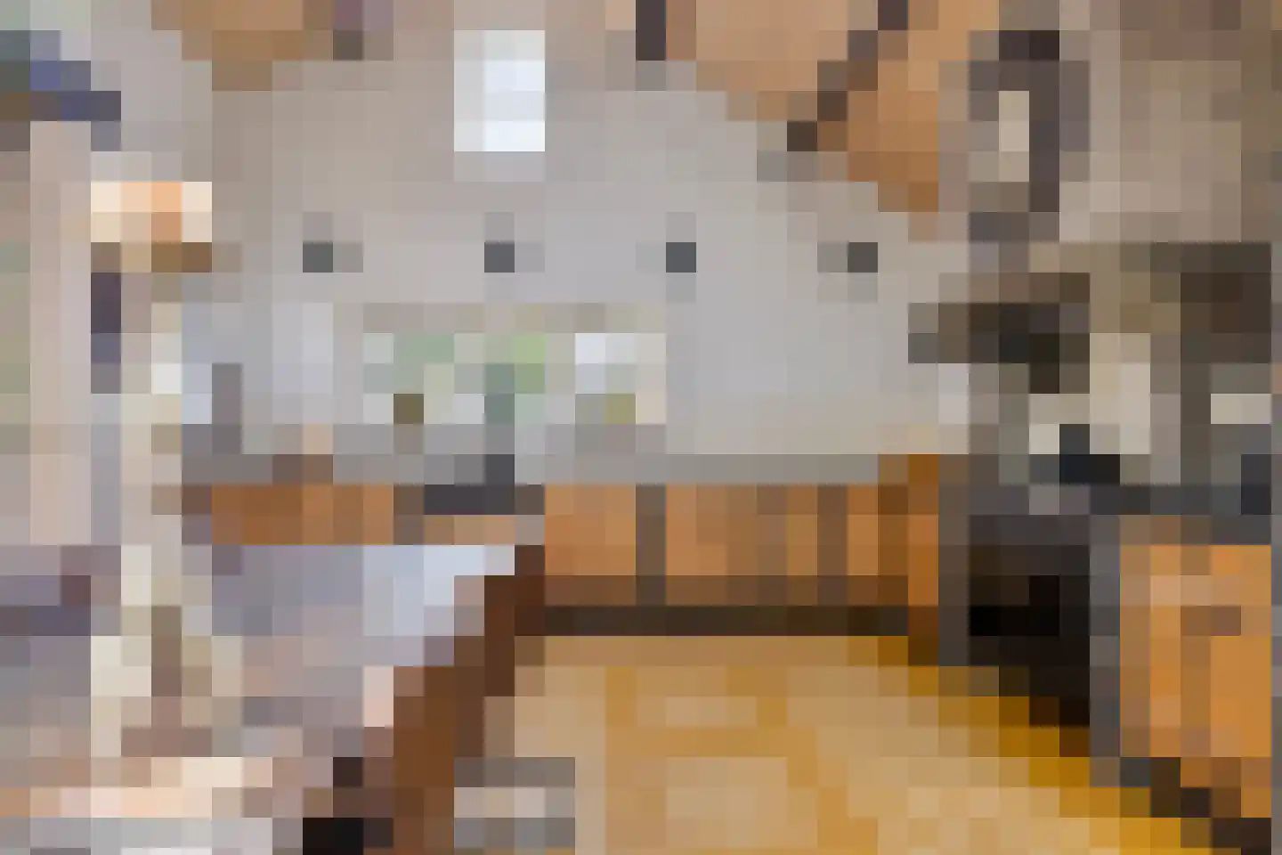 Rijnstraat 21 Eindhoven thumbnail 18