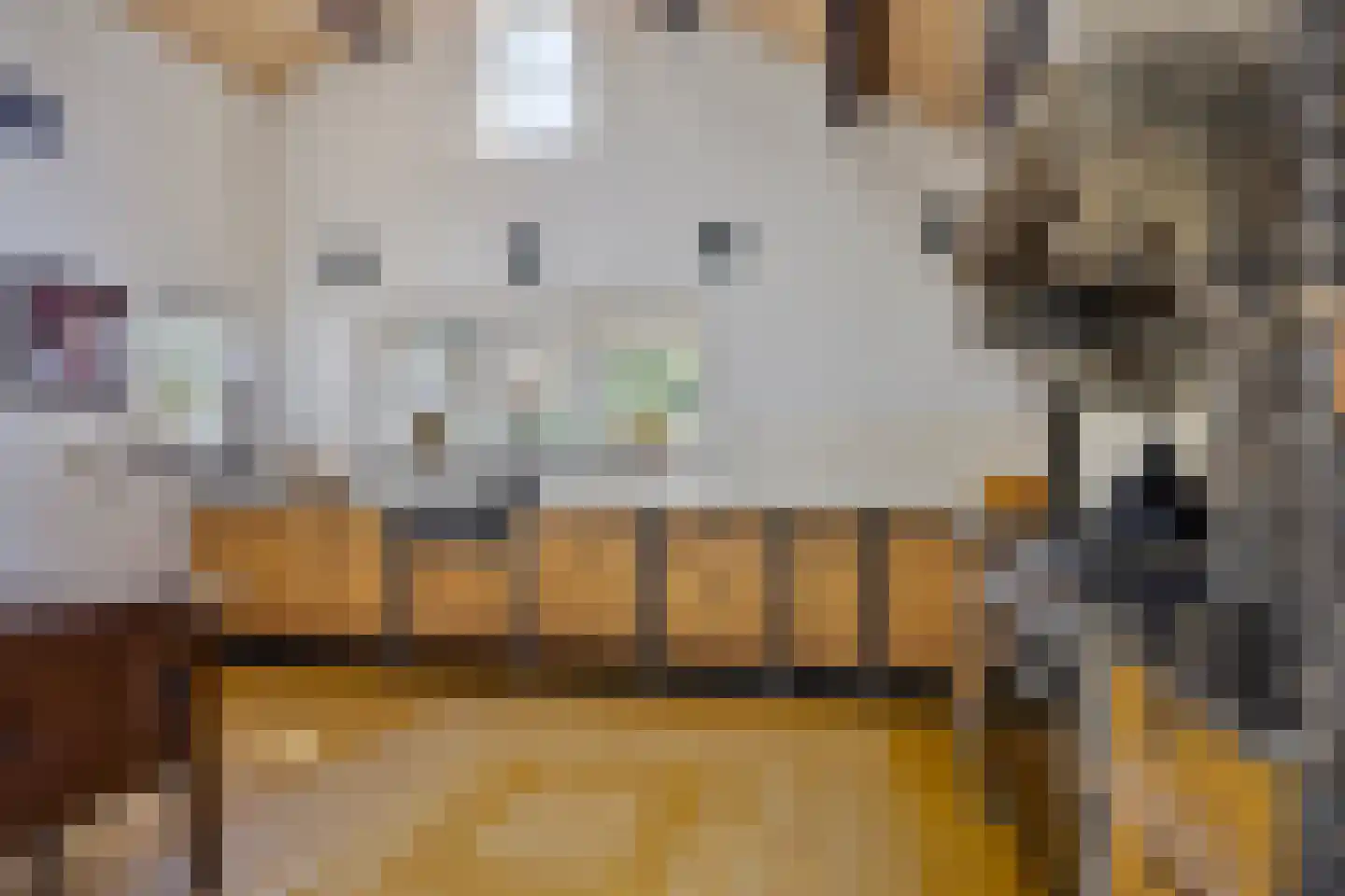 Rijnstraat 21 Eindhoven thumbnail 22