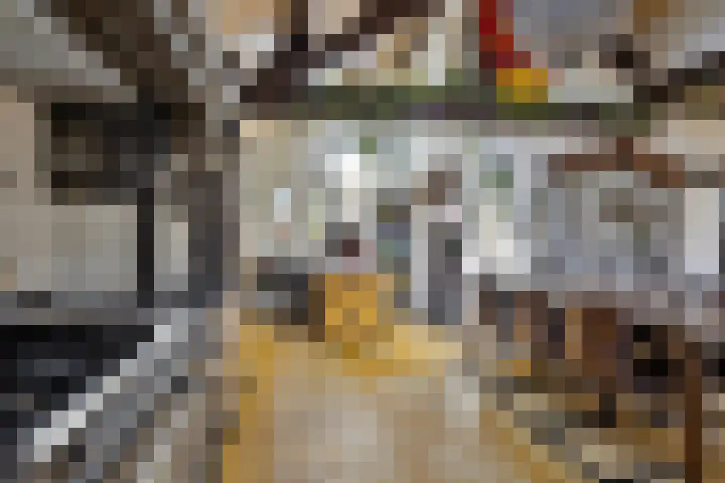 Rijnstraat 21 Eindhoven thumbnail 23