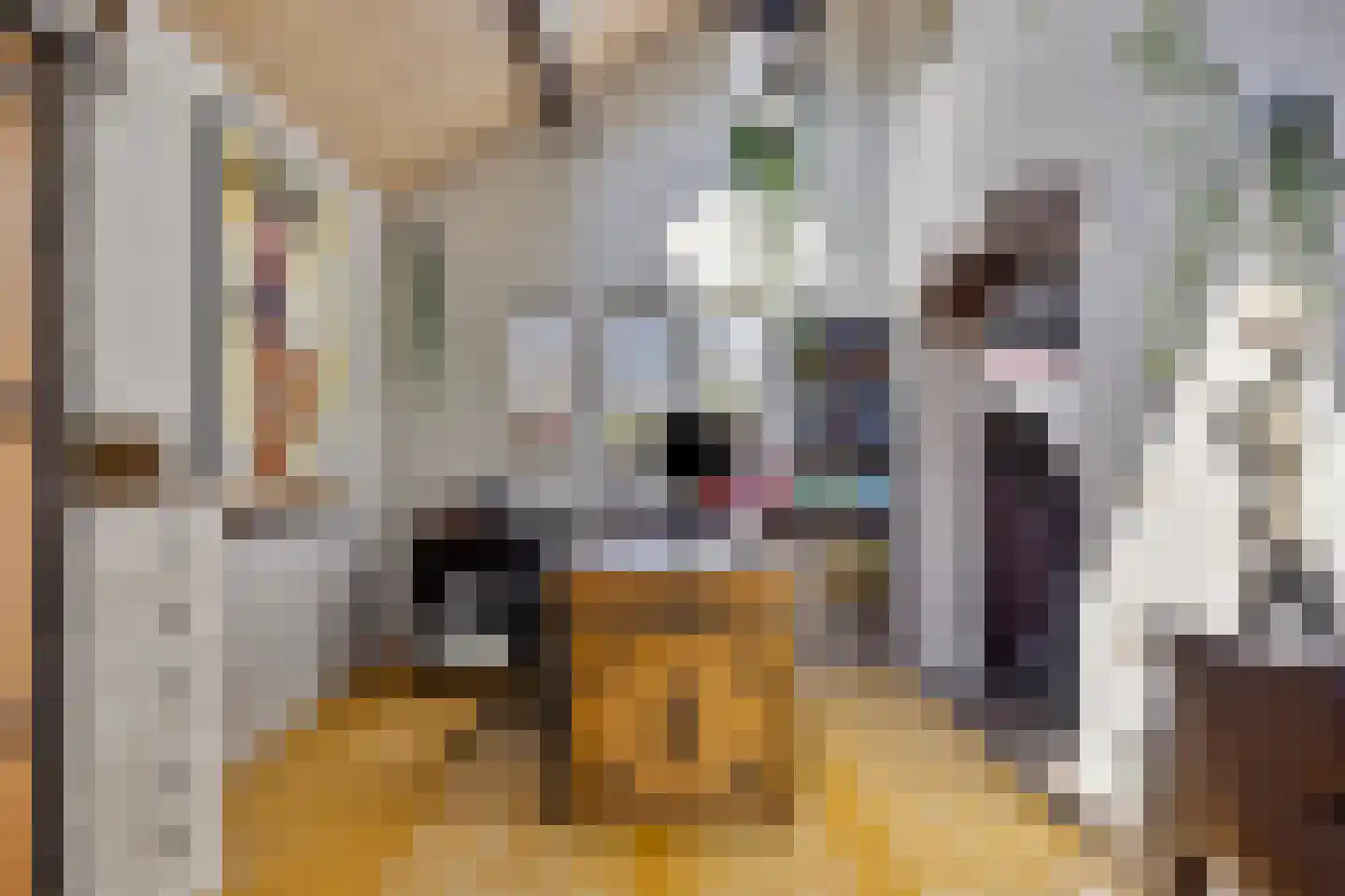 Rijnstraat 21 Eindhoven thumbnail 26