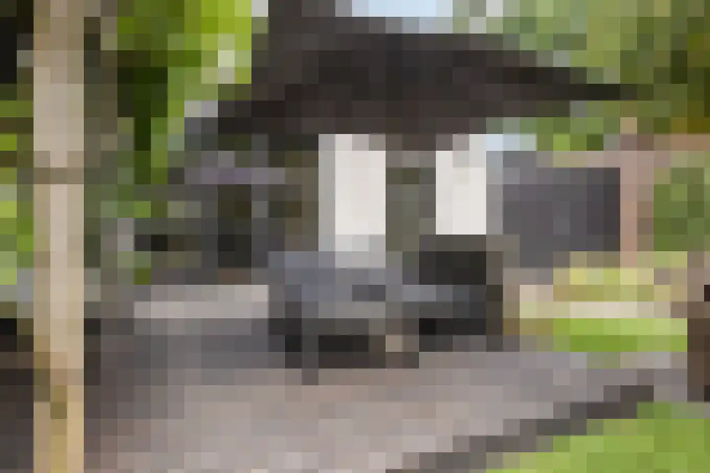 Rijnstraat 21 Eindhoven thumbnail 55