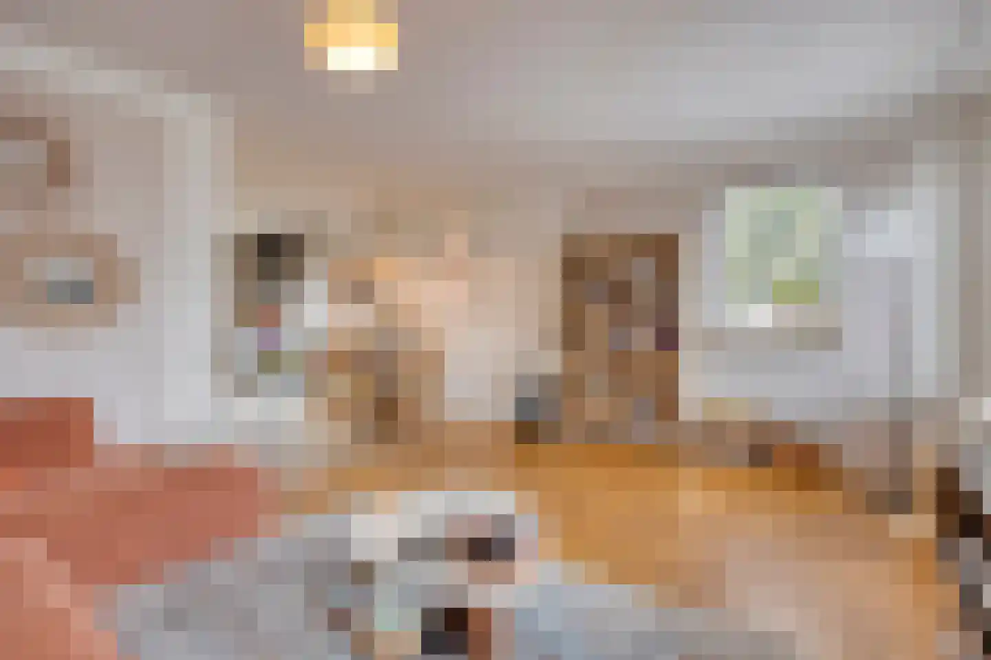 Rijnstraat 21 Huissen thumbnail 10