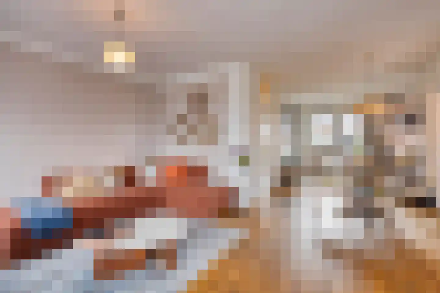 Rijnstraat 21 Huissen thumbnail 11