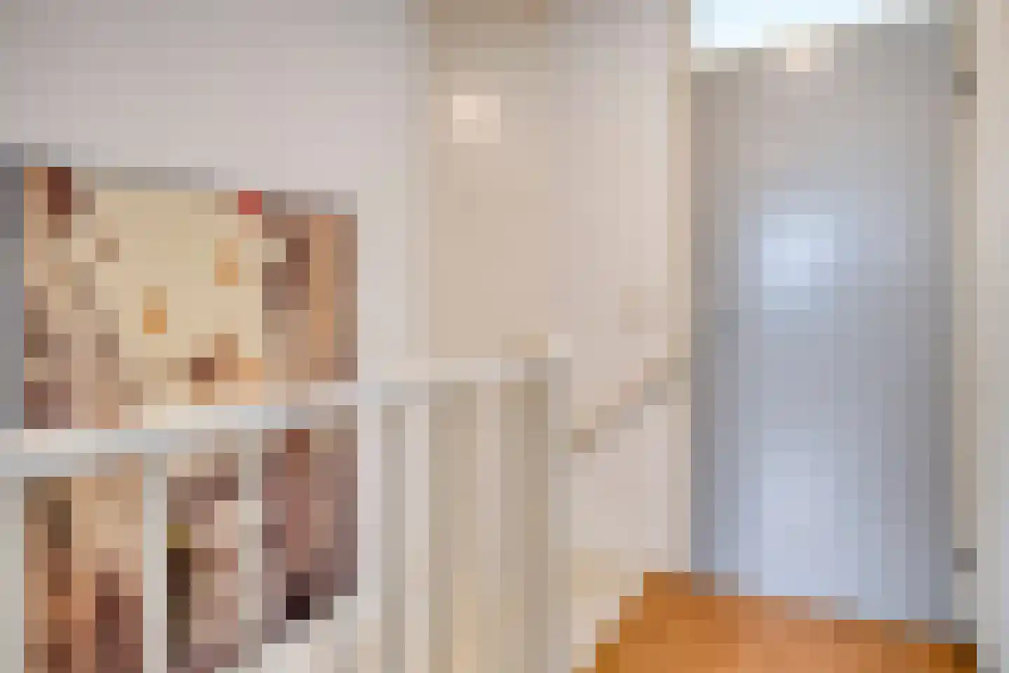 Rijnstraat 21 Huissen thumbnail 18